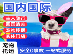 左旗巴彦浩特机场空运国际宠物托运 【国